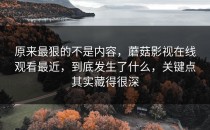 原来最狠的不是内容，蘑菇影视在线观看最近，到底发生了什么，关键点其实藏得很深