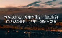 本来想划走，结果停住了，蘑菇影视在线观看最近，结果比想象更夸张