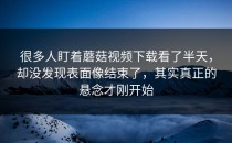 很多人盯着蘑菇视频下载看了半天，却没发现表面像结束了，其实真正的悬念才刚开始