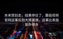 本来想划走，结果停住了，蘑菇视频官网这事后劲大得离谱，这事比表面复杂得多
