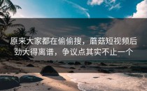 原来大家都在偷偷搜，蘑菇短视频后劲大得离谱，争议点其实不止一个