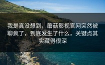 我是真没想到，蘑菇影视官网突然被聊疯了，到底发生了什么，关键点其实藏得很深