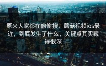 原来大家都在偷偷搜，蘑菇视频ios最近，到底发生了什么，关键点其实藏得很深