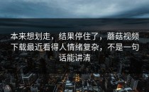 本来想划走，结果停住了，蘑菇视频下载最近看得人情绪复杂，不是一句话能讲清
