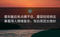 看到最后有点绷不住，蘑菇短视频这事看得人情绪复杂，背后原因太微妙