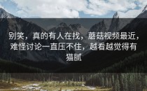 别笑，真的有人在找，蘑菇视频最近，难怪讨论一直压不住，越看越觉得有猫腻