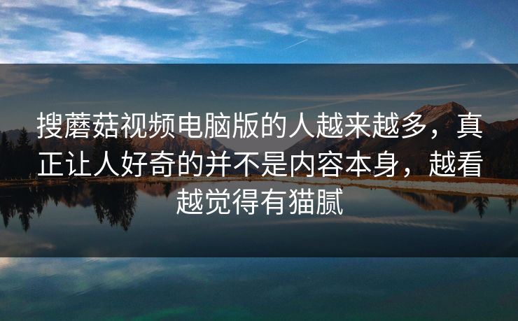 搜蘑菇视频电脑版的人越来越多，真正让人好奇的并不是内容本身，越看越觉得有猫腻