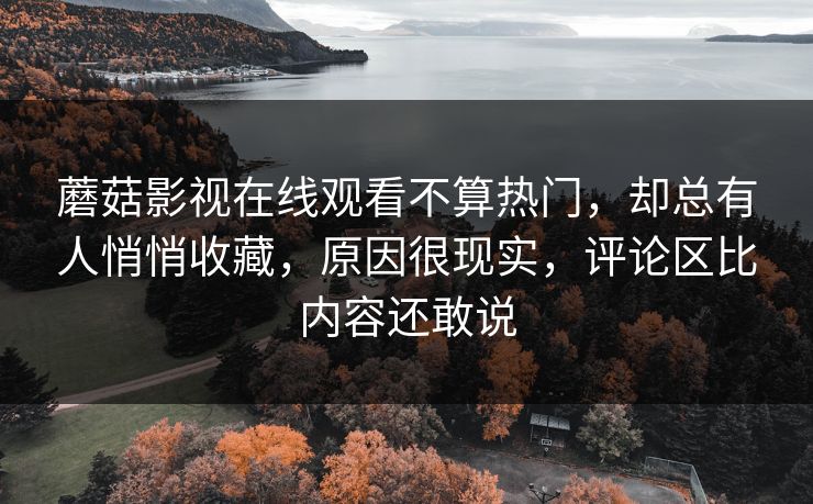 蘑菇影视在线观看不算热门，却总有人悄悄收藏，原因很现实，评论区比内容还敢说