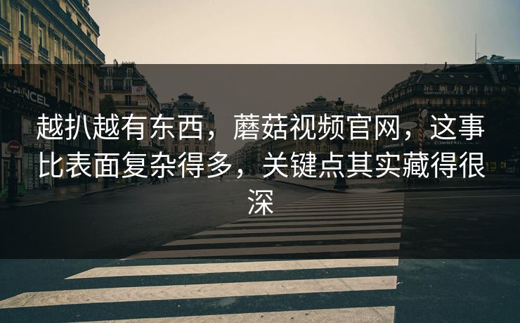 越扒越有东西，蘑菇视频官网，这事比表面复杂得多，关键点其实藏得很深
