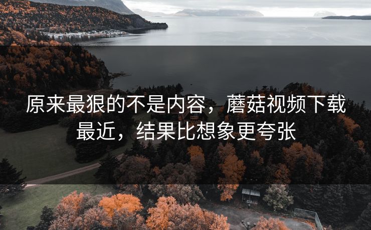 原来最狠的不是内容,蘑菇视频下载最近,结果比想象更夸张 第1张 原来最狠的不是内容,蘑菇视频下载最近,结果比想象更夸张 第1张
